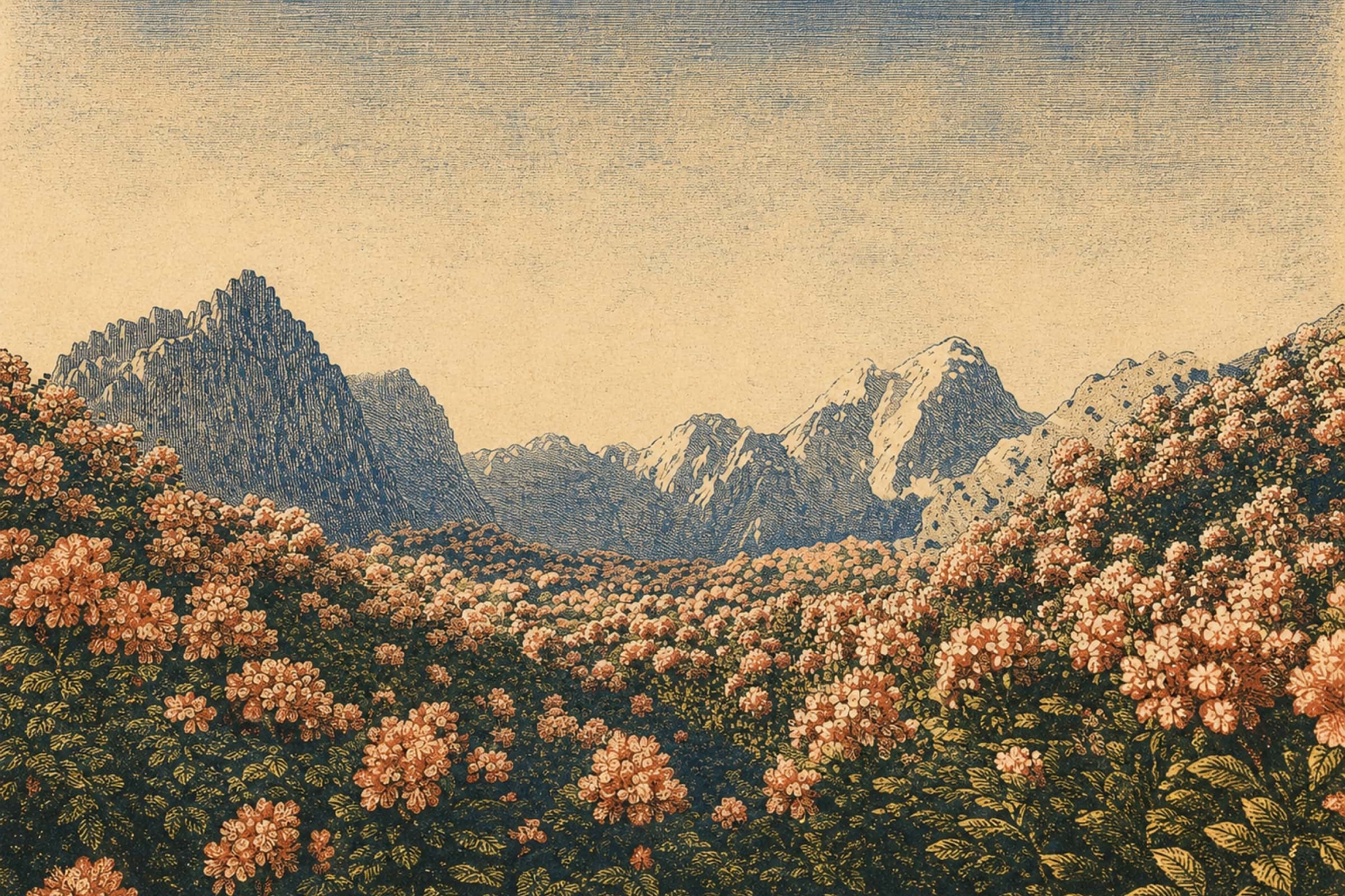 Vintage engraving of snow-capped mountains rising over fields of flowering shrubs